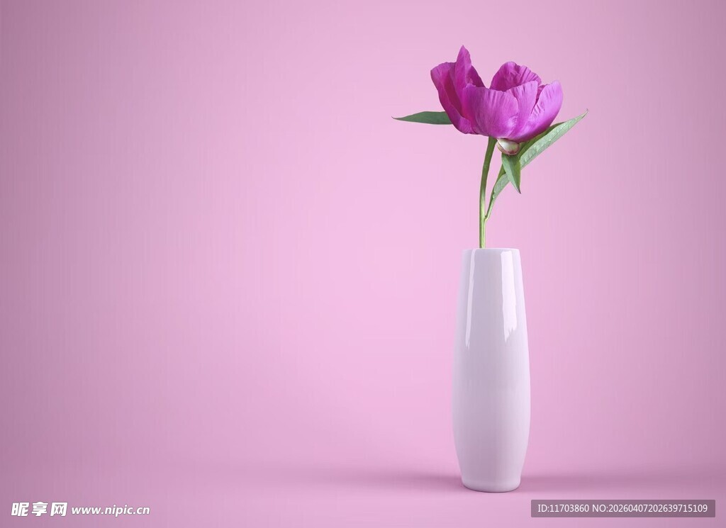 粉色中的雅致花瓶插花电脑壁纸