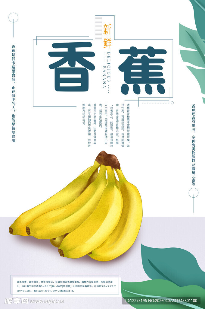 新鲜香蕉展示图