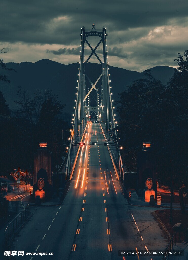 夜幕下的桥梁车流美景