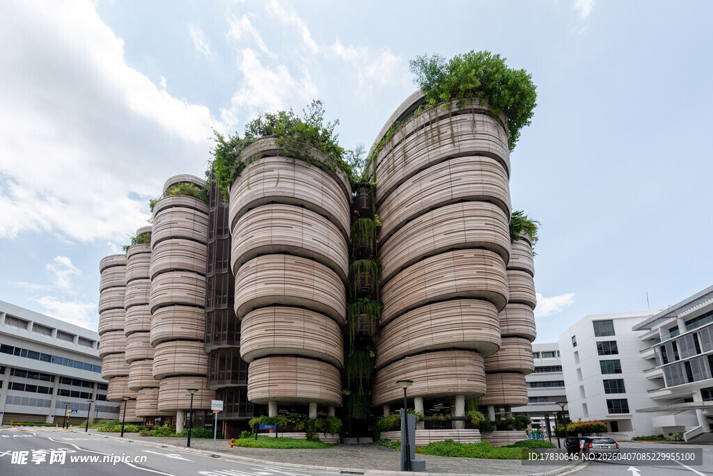 独特绿植环绕的筒状建筑