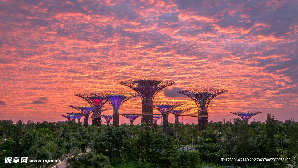 新加坡滨海湾花园绚丽晚霞