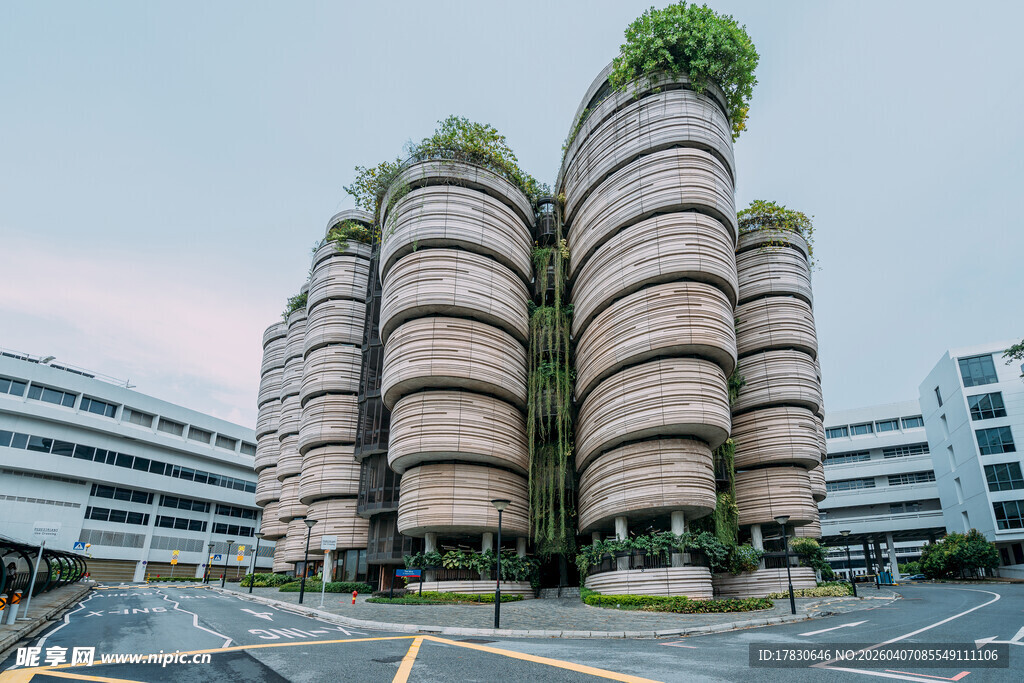 绿植环绕的独特建筑