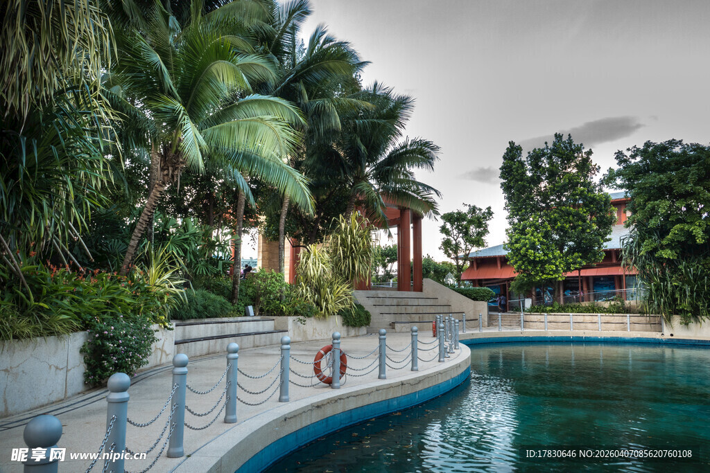 热带风情泳池畔景观