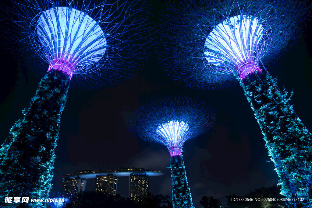 梦幻灯光塔夜景