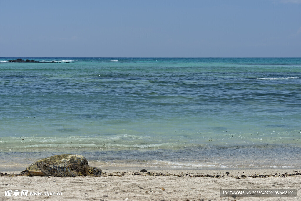 宁静海滩蔚蓝海水与礁石
