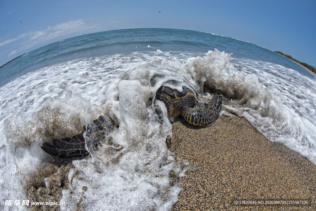 海浪拍打沙滩礁石景象