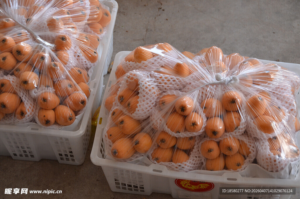 包装好的枇杷水果待售