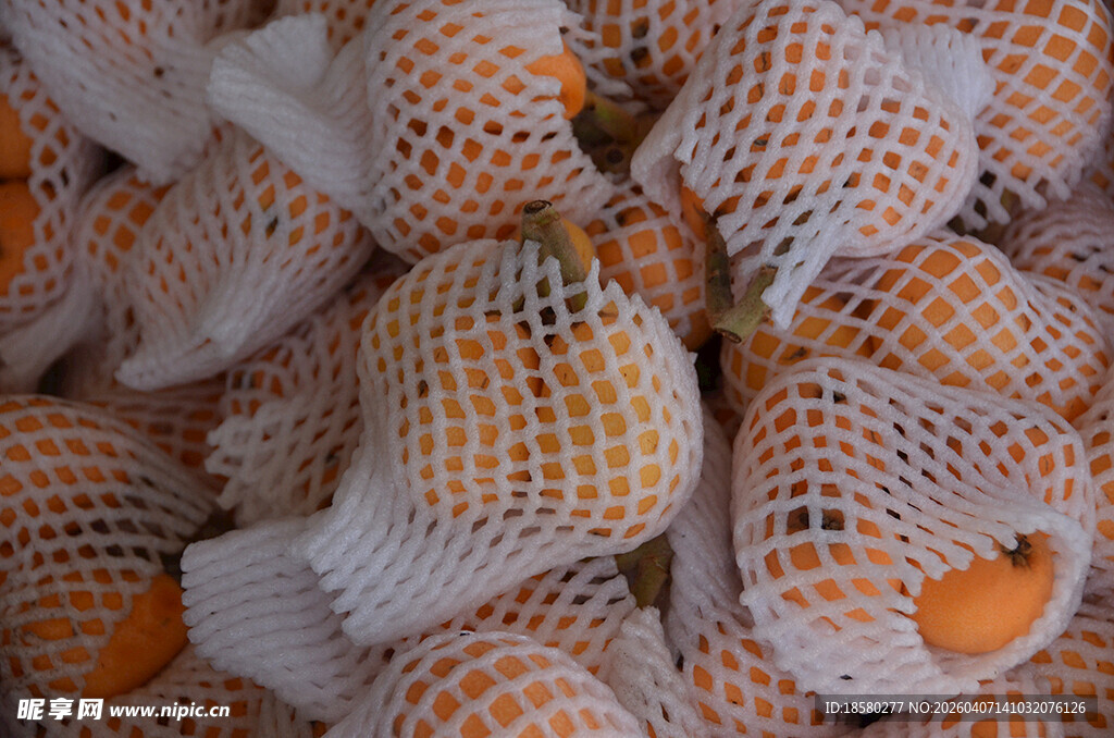 网袋包裹的新鲜枇杷水果