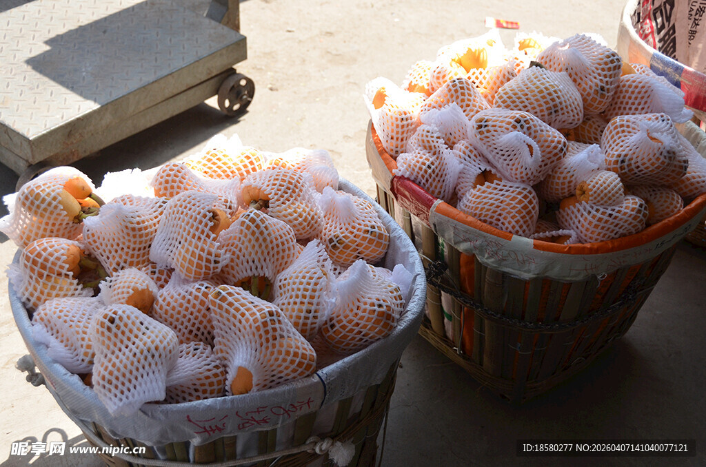 新鲜枇杷待售