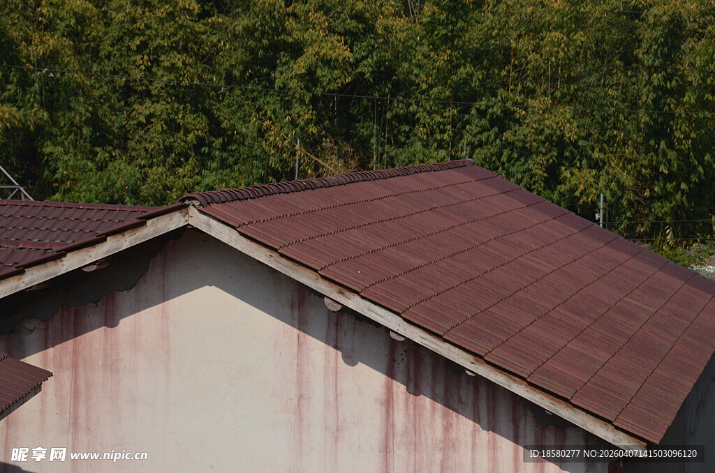 老旧房屋屋顶与茂密树林