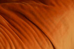 橙色褶皱毛绒 布料纹理特写