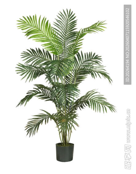 仿真棕榈盆栽