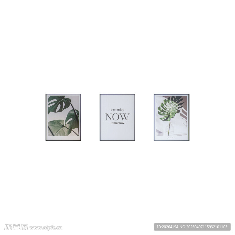 简约植物装饰画组合