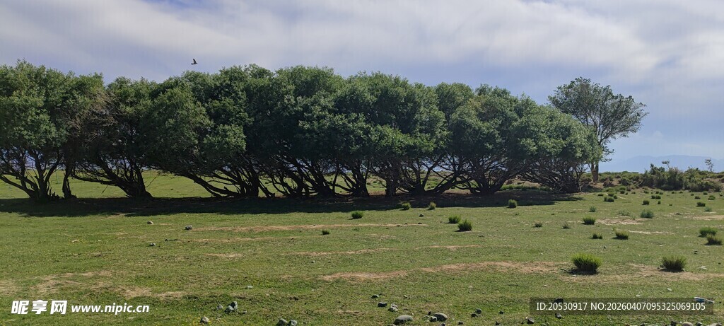 乌鲁木齐达坂草原