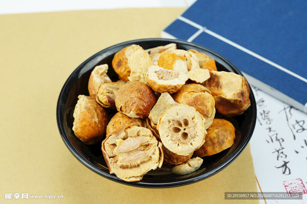 中药材川楝子摄影