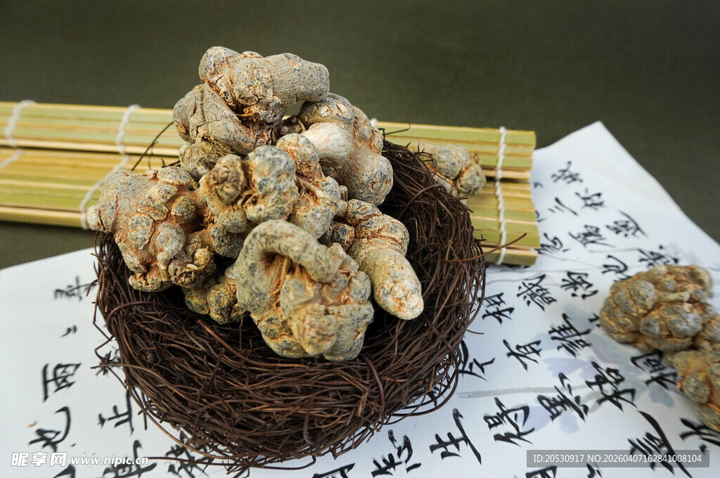 中药中草药中药材三七