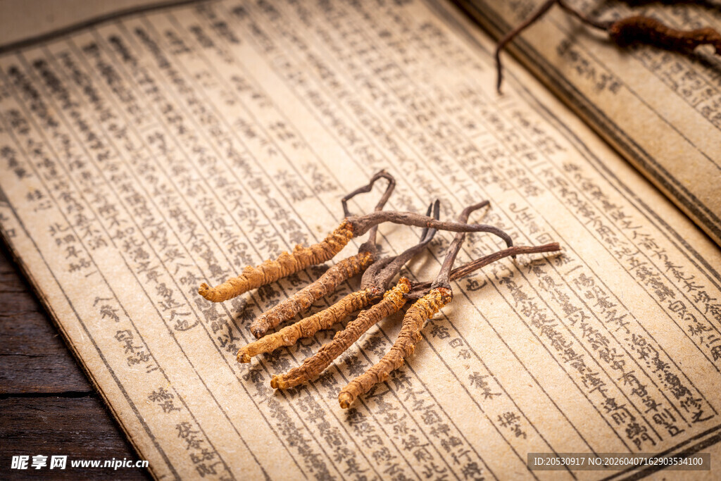 复古中医书上的冬虫夏草