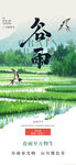 谷雨二十四节气海报