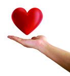 手捧红心