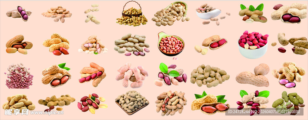 多样花生美食素材集合