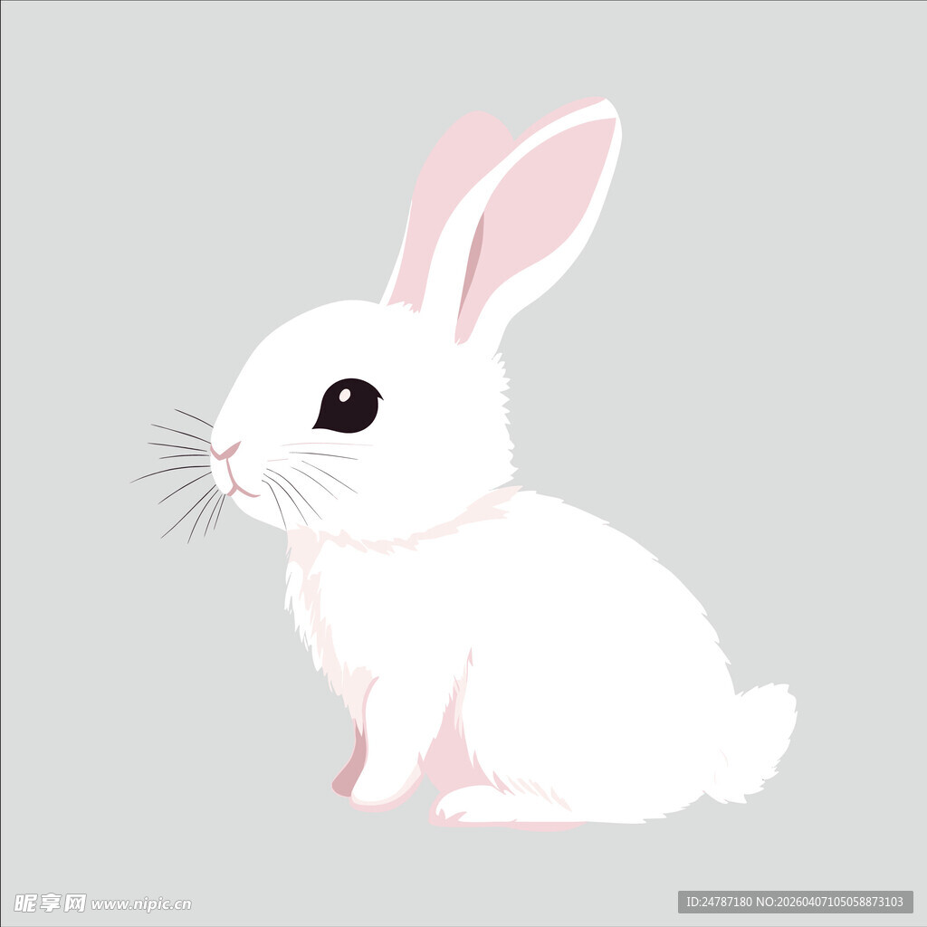 可爱小白兔插画