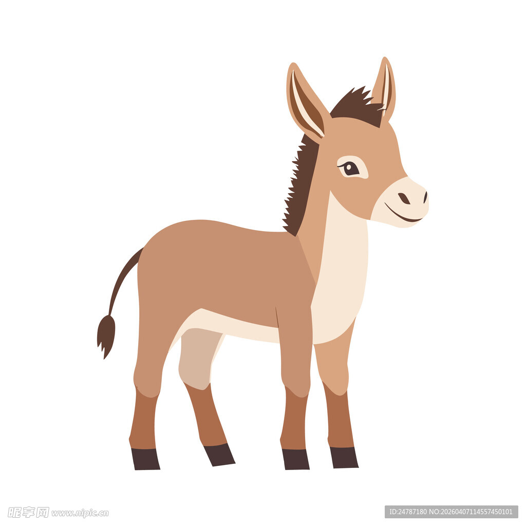 小毛驴插画