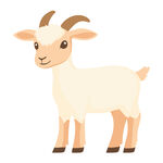 可爱小山羊插画
