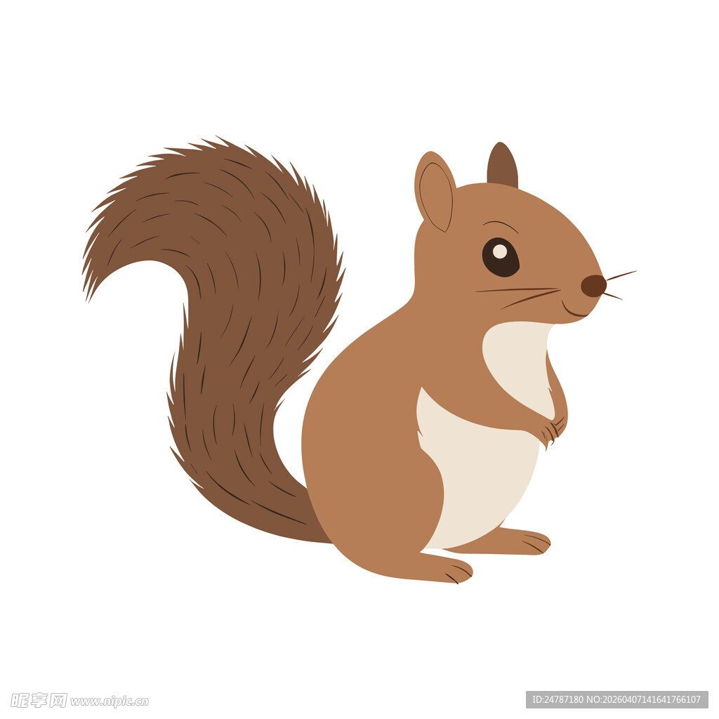可爱松鼠插画