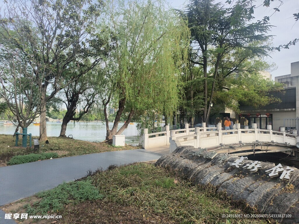 湖畔小径旁的葱郁景致