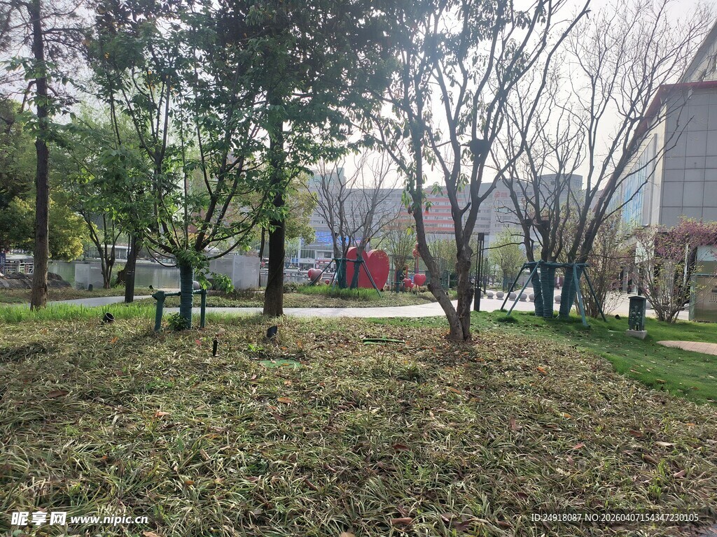 城市中的静谧绿化景观