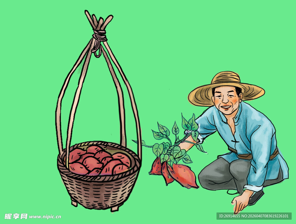 拔红薯插画