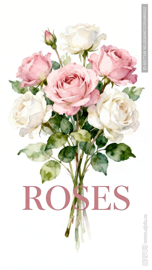 粉色白色玫瑰花卉图