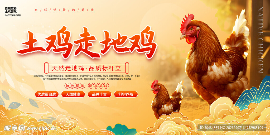 土鸡走地鸡