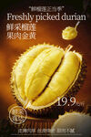新鲜采摘榴莲果肉海报