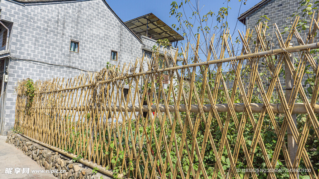 乡村竹篱景观