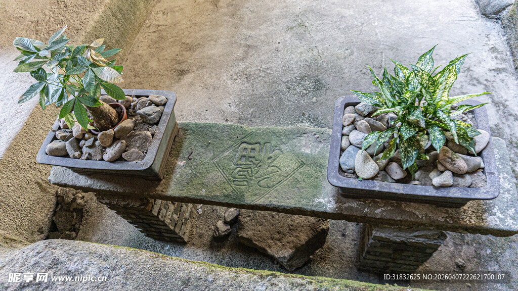 石台上的双盆绿植