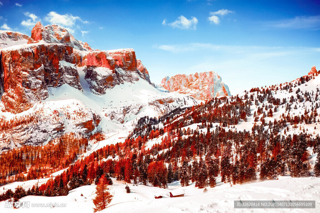 雪山红林壮丽自然风光