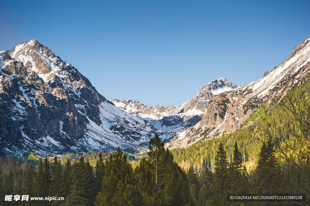 壮丽雪山与葱郁森林景观