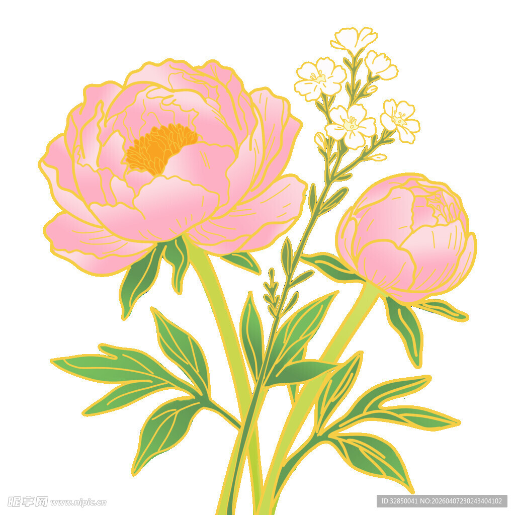 粉色芍药花卉插画