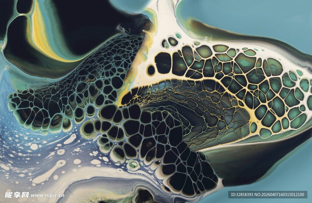 海龟在水中优雅游动