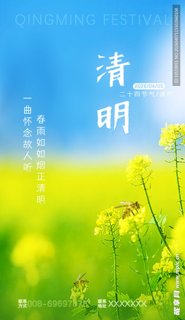 清明 黄花烂漫景色美