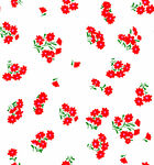 红色樱桃花卉图案背景