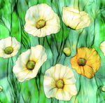 水彩绘黄色白色美丽花朵