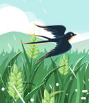 麦田上飞翔的燕子