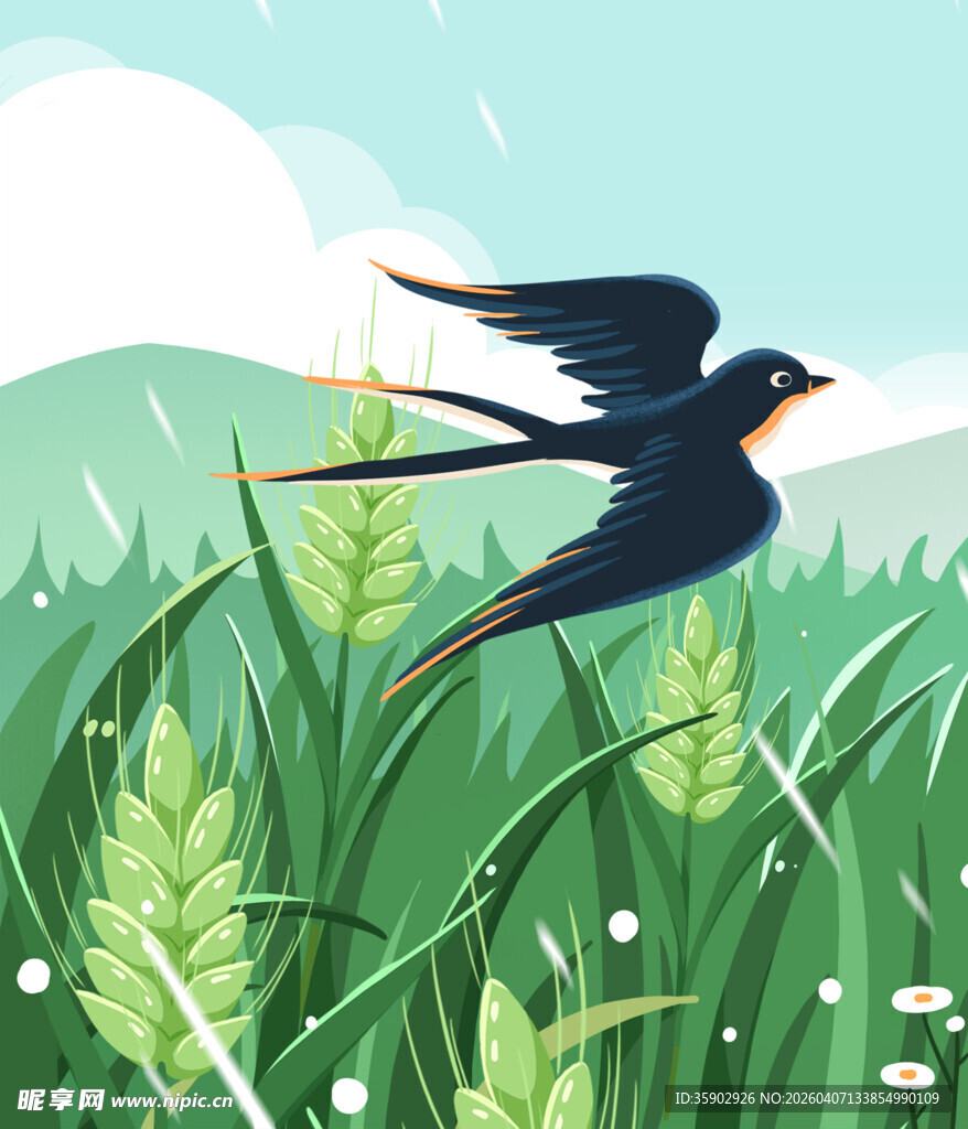 麦田上飞翔的燕子