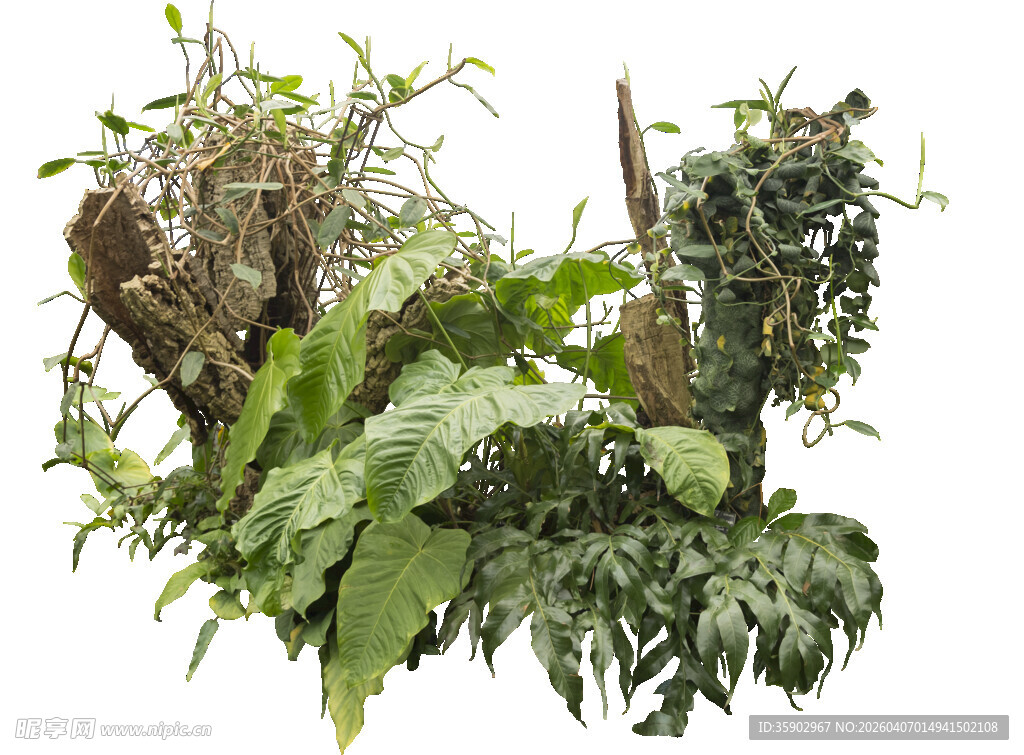 多样绿植组合景观