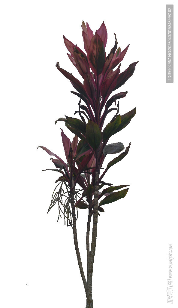 紫叶仿真植物花卉摆件