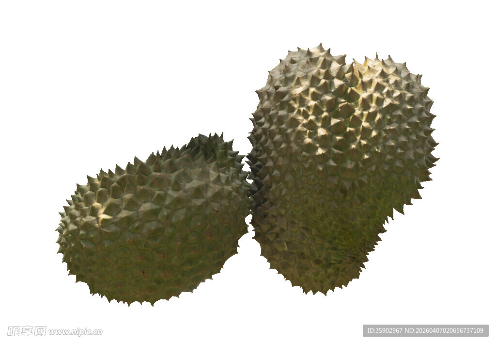 两个新鲜榴莲果