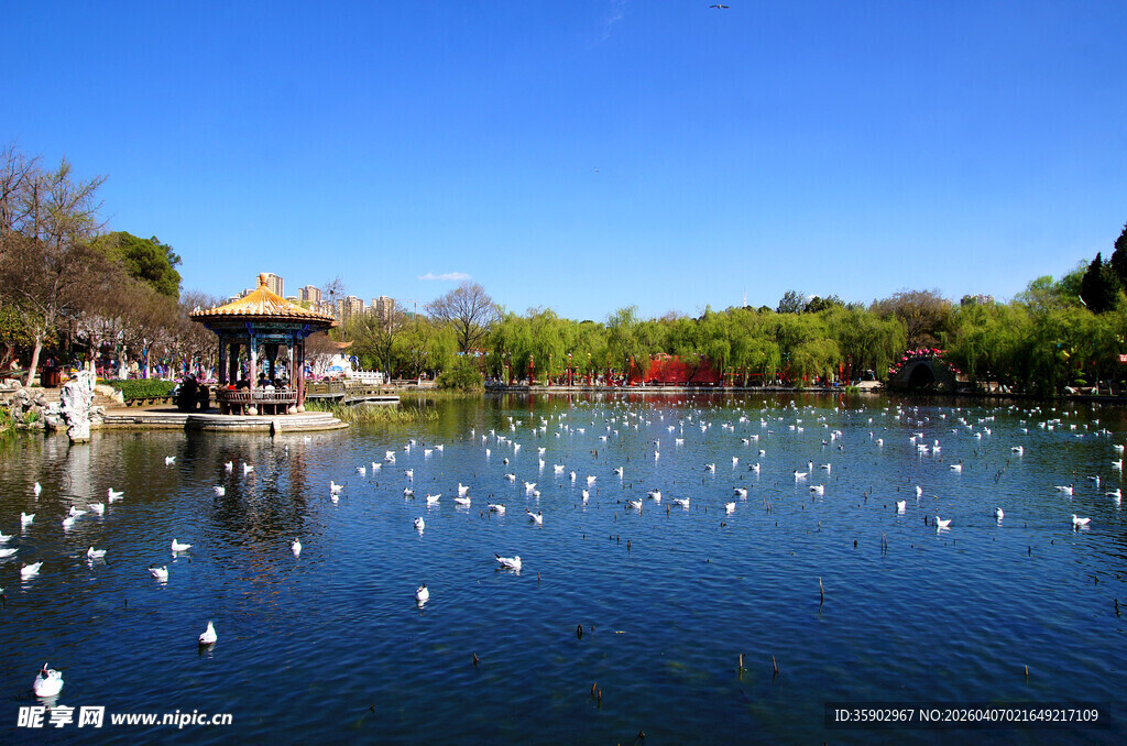 昆明大观楼春色