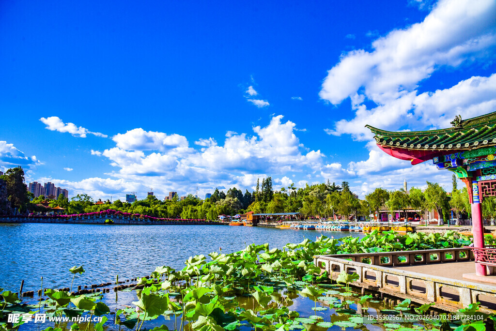 昆明大观湖畔美景亭台与莲叶相映